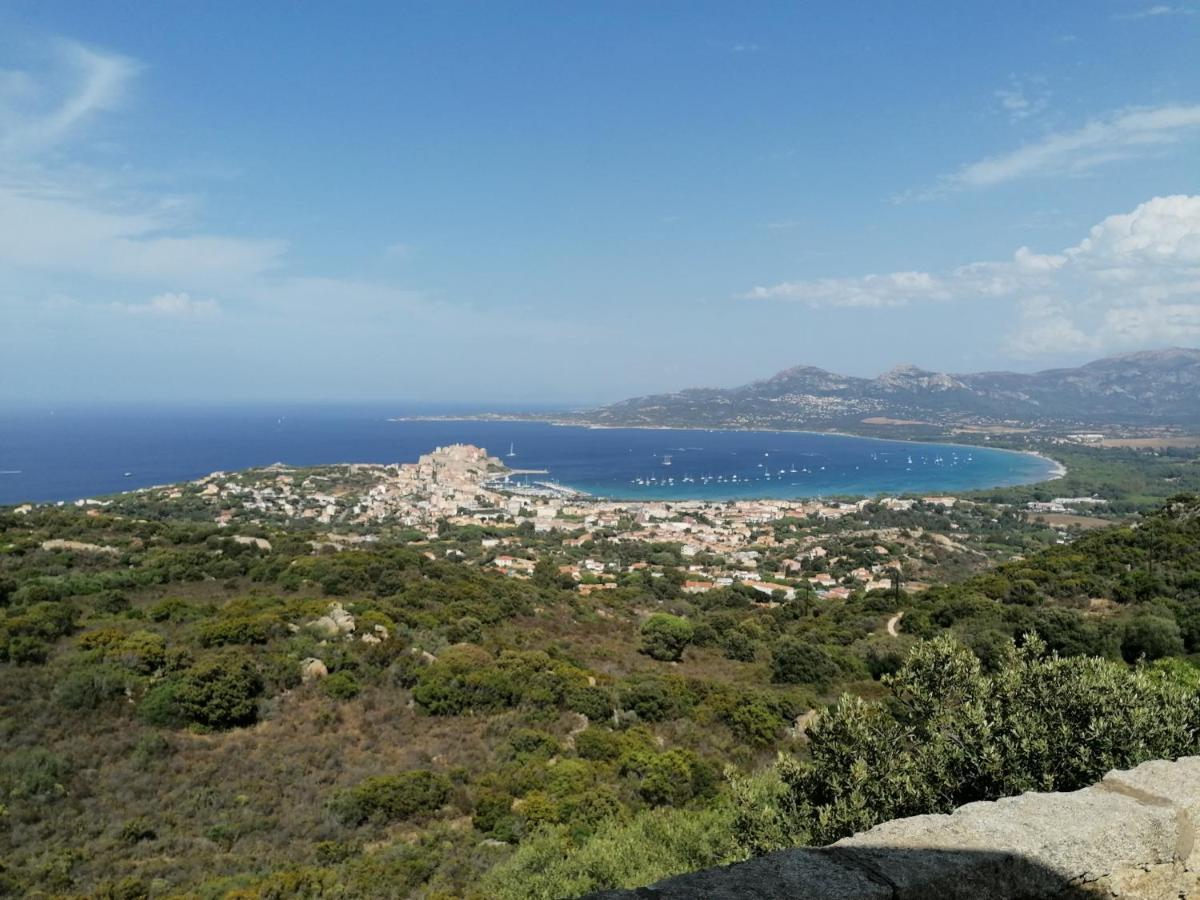 Appartement Residence Les Eucalyptus L'Ile-Rousse  Bagian luar foto